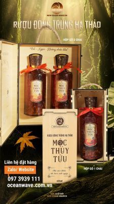 Moc Thuy Tuu Cordyceps Liquor 625ml Wooden Box