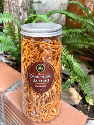 Cordyceps dried mushrooms 3 sizes