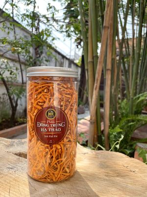 Cordyceps dried mushrooms 3 sizes