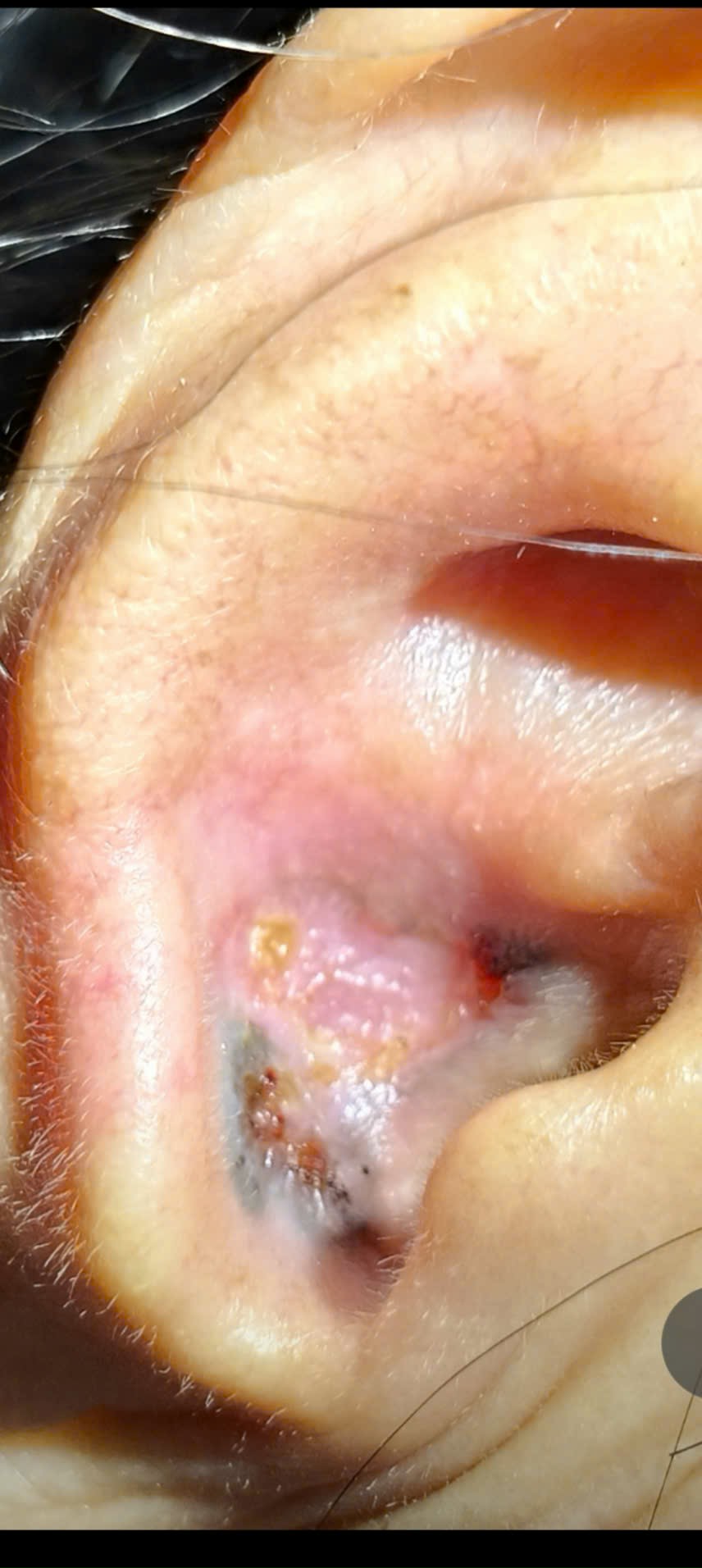 87634f0182520e0c5743