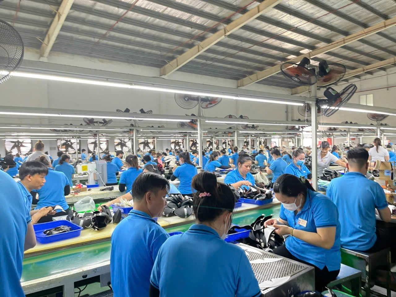 be6323f2ace120bf79f0