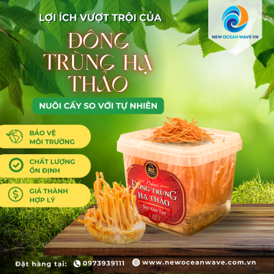 Nấm tươi đông trùng hạ thảo dược liệu XCC 200 GR