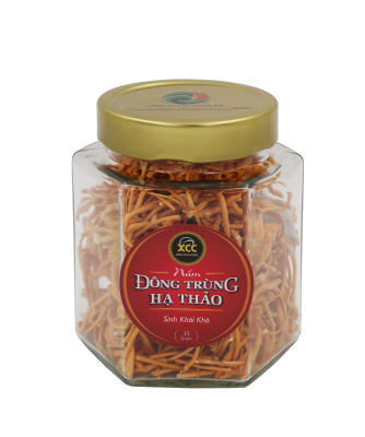 Nấm Đông Trùng hạ thảo dược liệu khô 35 GR