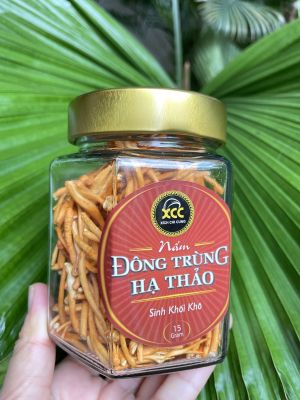 Nấm khô đông trùng hạ thảo dược liệu 15 GR