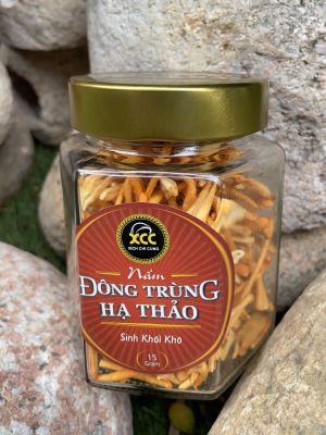 Nấm khô đông trùng hạ thảo dược liệu 15 GR