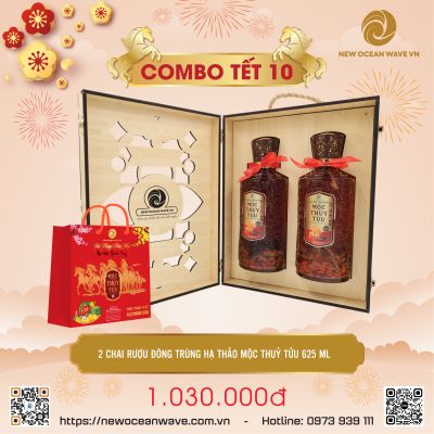 COMBO 02 CHAI RƯỢU ĐÔNG TRÙNG HẠ THẢO MỘC THUỶ TỬU 625 ML