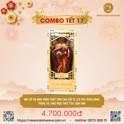 COMBO 17 - Hộp gỗ Bình thuỷ tinh 5L có vòi rượu Đông trùng hạ thảo Mộc Thủy Tửu_Sâm Hàn 