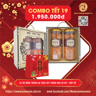 COMBO 19 - Đông trùng hạ thảo sấy khô Mộc Thủy Nấm