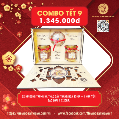 COMBO 9 - Đông trùng hạ thảo sấy khô Mộc Thủy Nấm, Yến sào