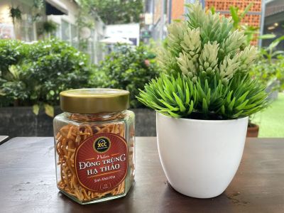 Nấm khô đông trùng hạ thảo dược liệu 15 GR