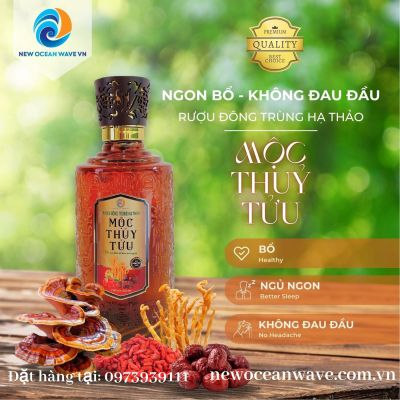 NGON - BỔ - KHÔNG ĐAU ĐẦU VỚI RƯỢU ĐÔNG TRÙNG HẠ THẢO - MỘC THUỶ TỬU