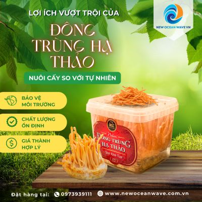 LỢI ÍCH CỦA ĐÔNG TRÙNG HẠ THẢO NUÔI CẤY SO VỚI ĐÔNG TRÙNG HẠ THẢO TỰ NHIÊN