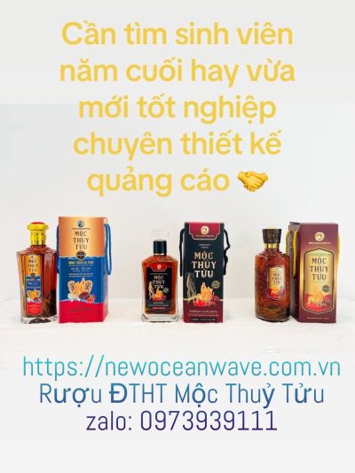 New Ocean Wave Vietnam cần CTV thiết kế quảng cáo